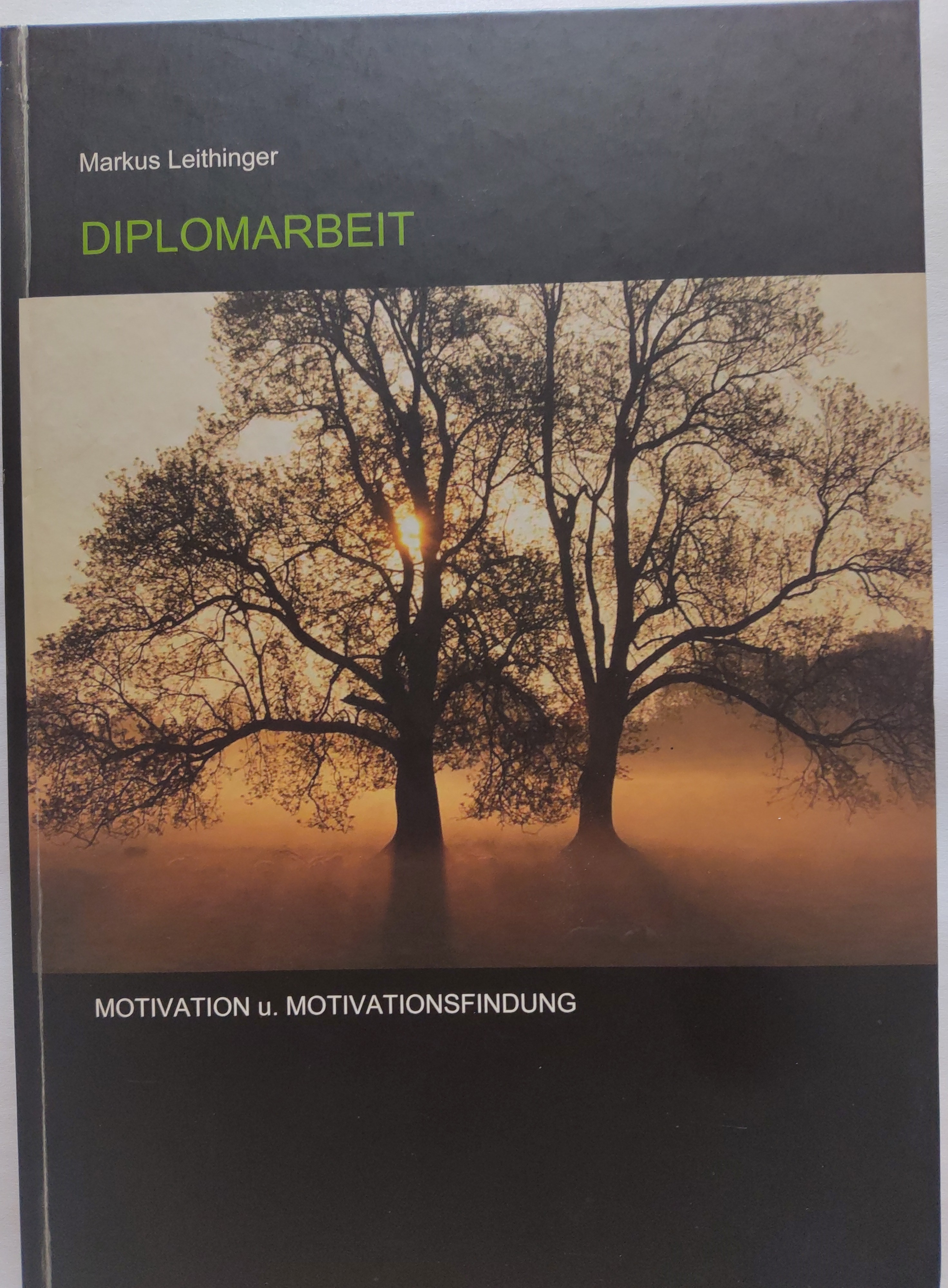 Titelbild Motivation u. Motivationsfindung